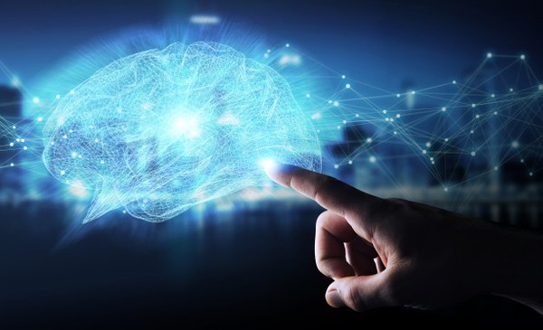 Neuroventas. Cómo funciona el Cerebro de tu Consumidor